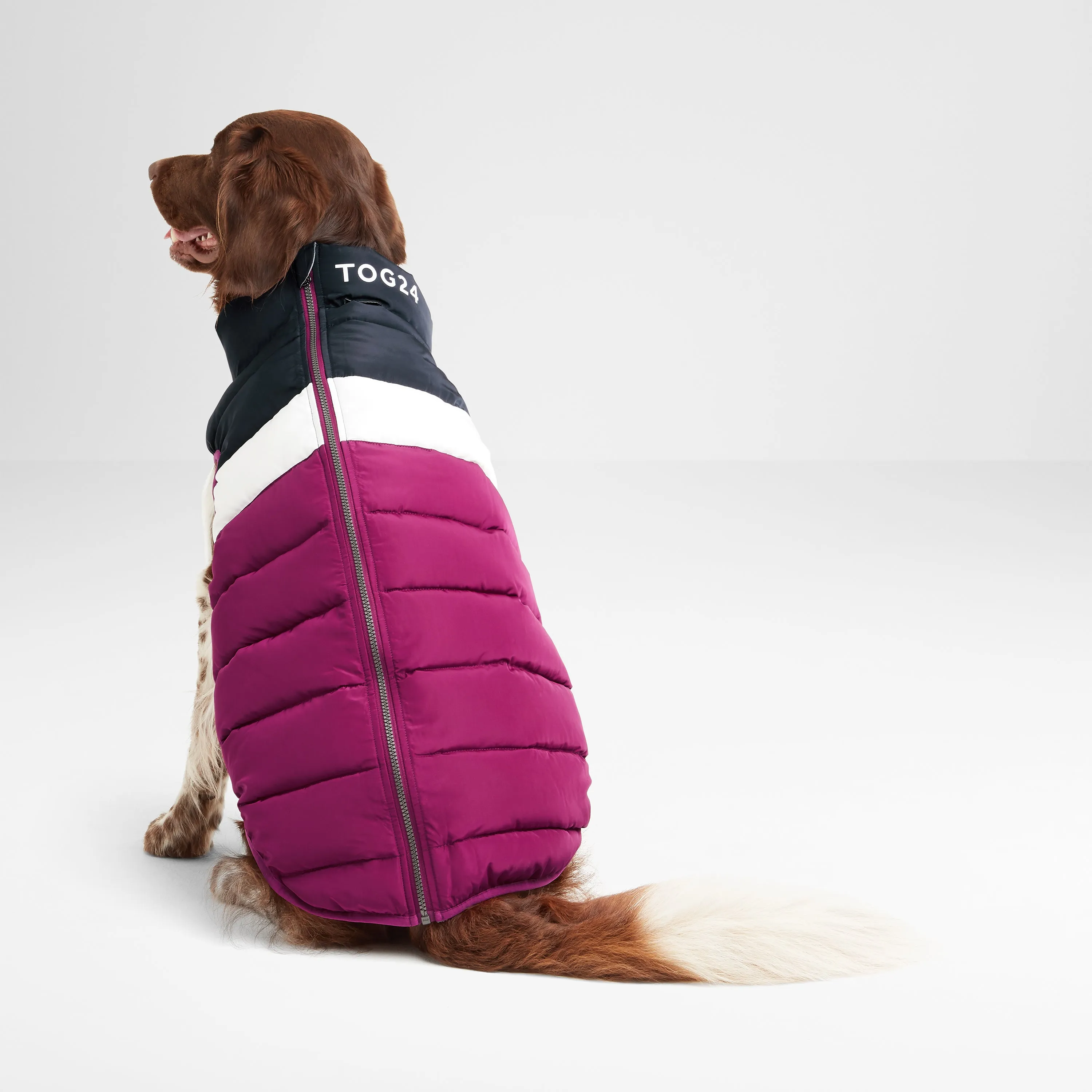 Fetch Padded Dog Coat M - Purple Berry/Dark Indigo/Optic White