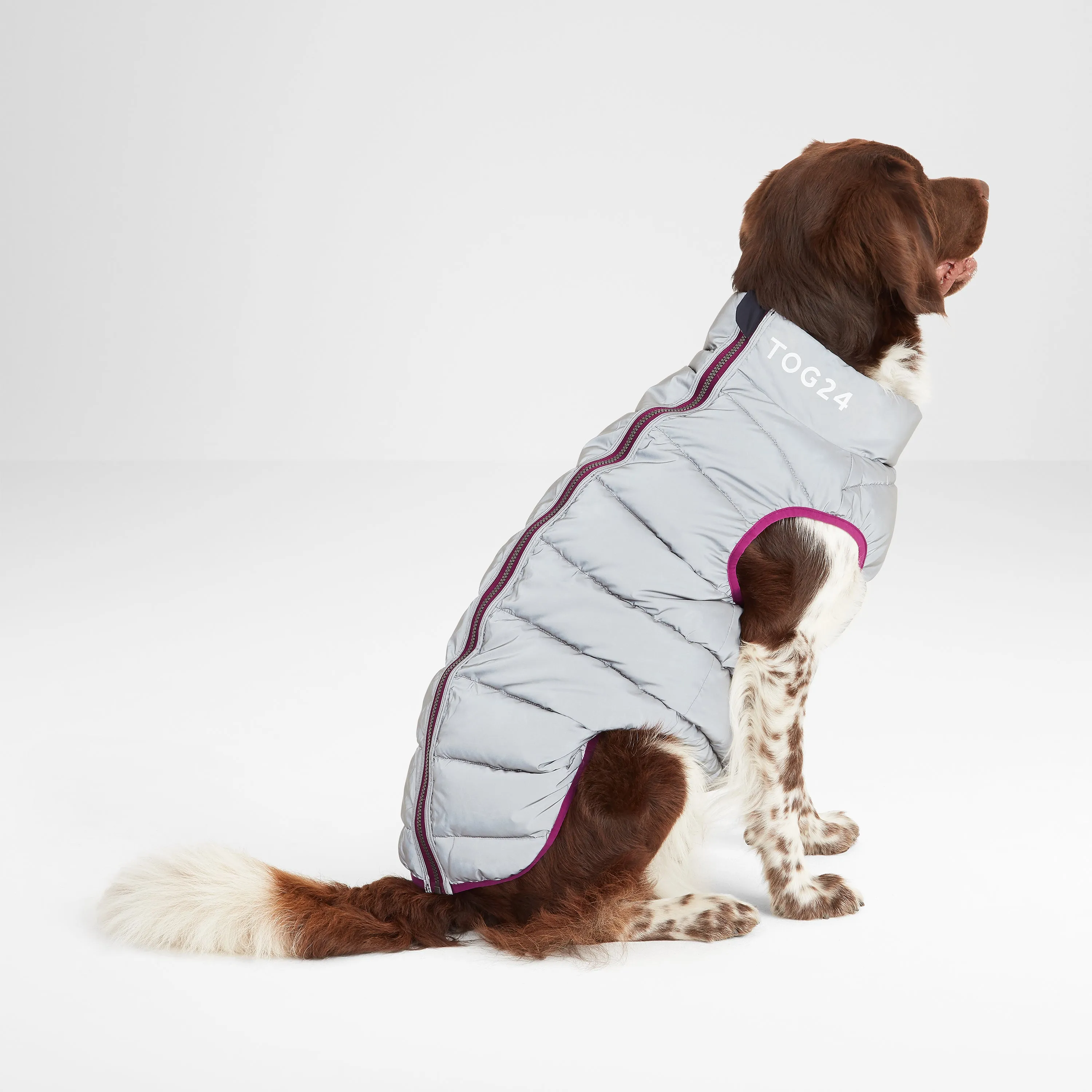 Fetch Padded Dog Coat M - Purple Berry/Dark Indigo/Optic White