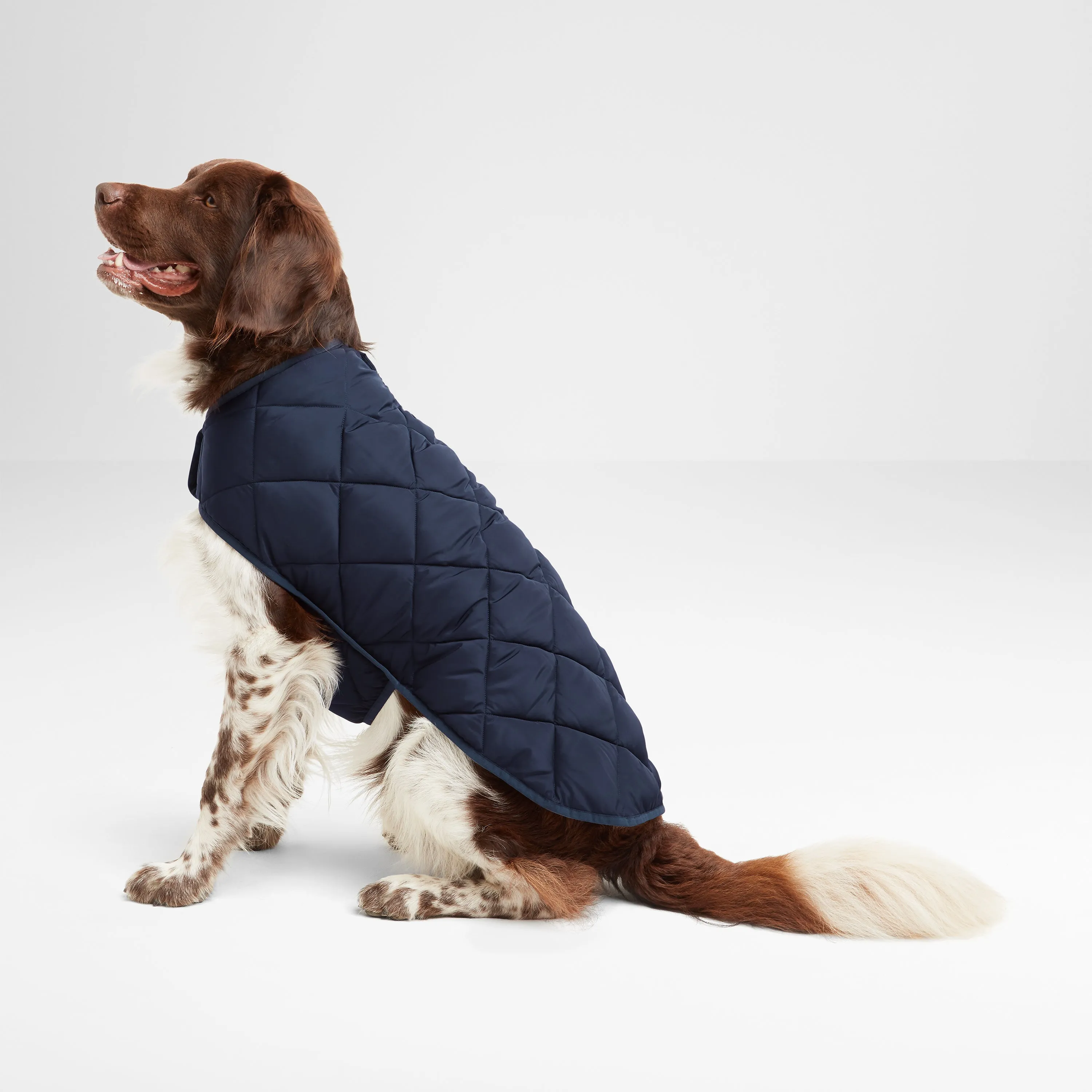 Fido Padded Dog Coat M - Dark Indigo