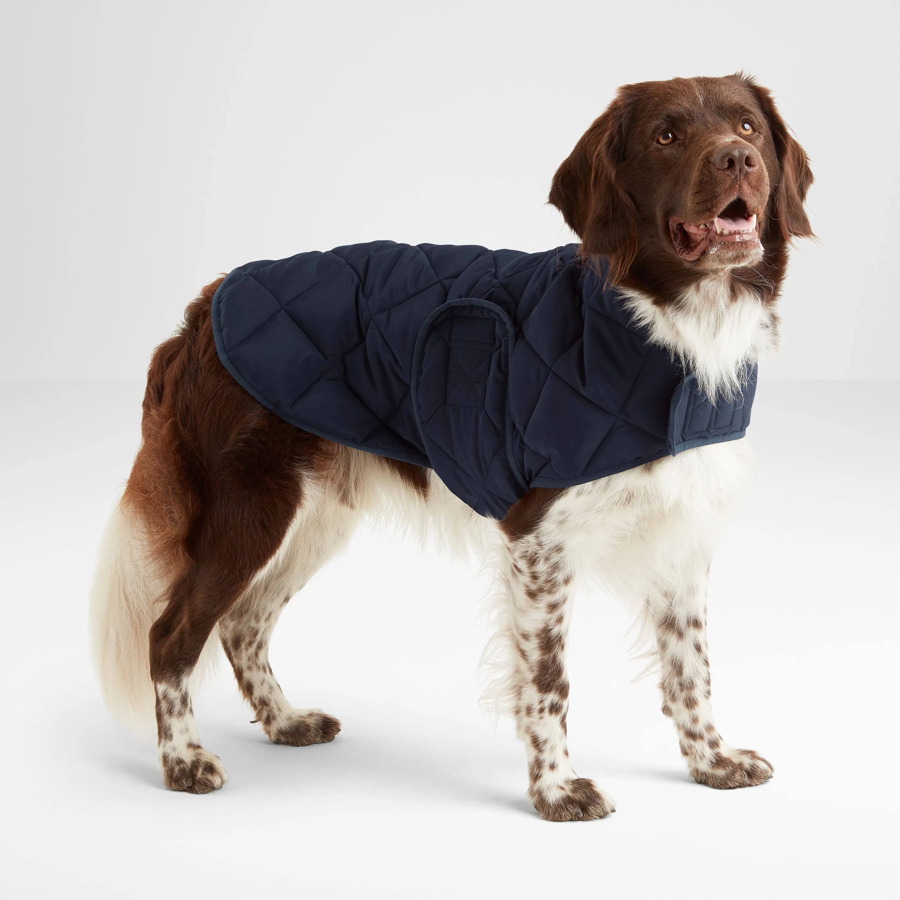 Fido Padded Dog Coat M - Dark Indigo