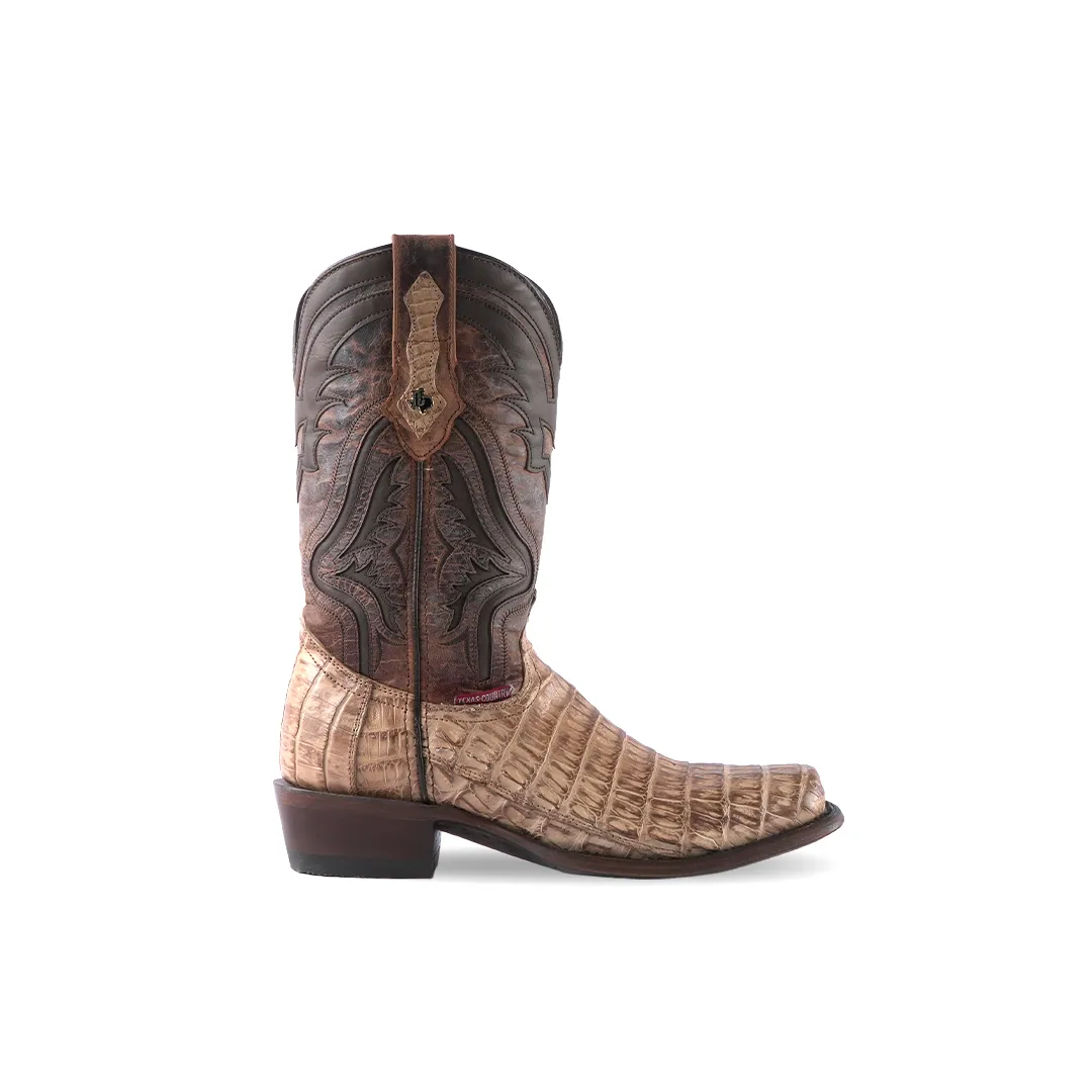 Texas Country Exotic Boot PS Caiman Cola Belly Antique LN101